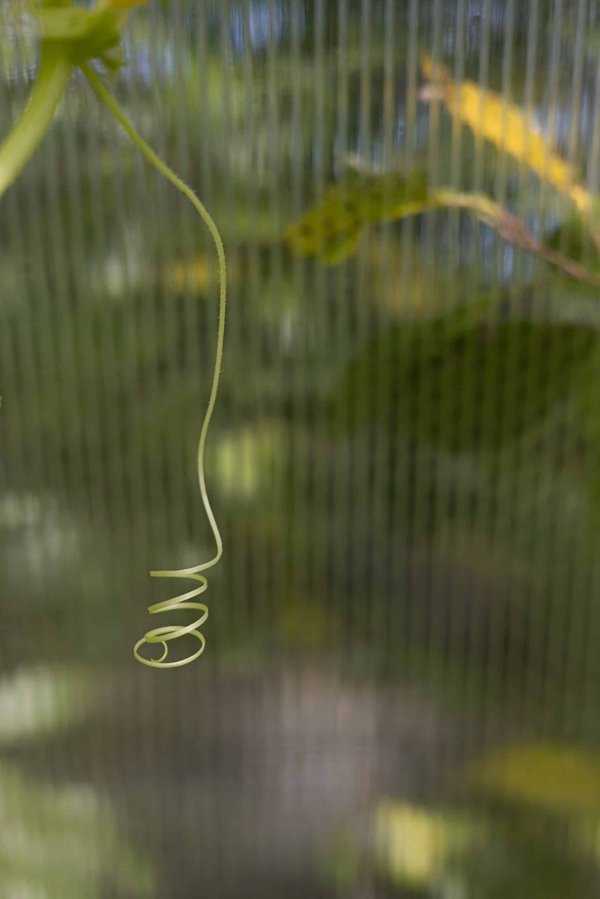 How to Adapt Workspaces for Improved Air Quality and Employee Health?